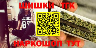 индика Тула