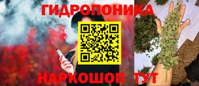 индика Тула