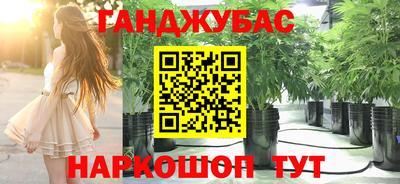 шишки Тулун