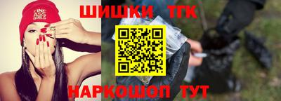 индика Тула