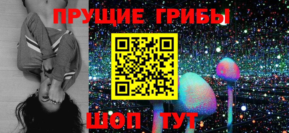 Псилоцибиновые грибы мицелий Отрадное