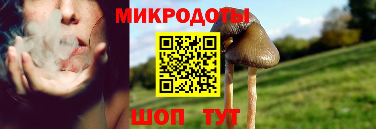 Галлюциногенные грибы GOLDEN TEACHER  Вход с VPN  Отрадное 
